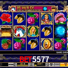 Bet5577 Belo Horizonte - Reivindique Bonus