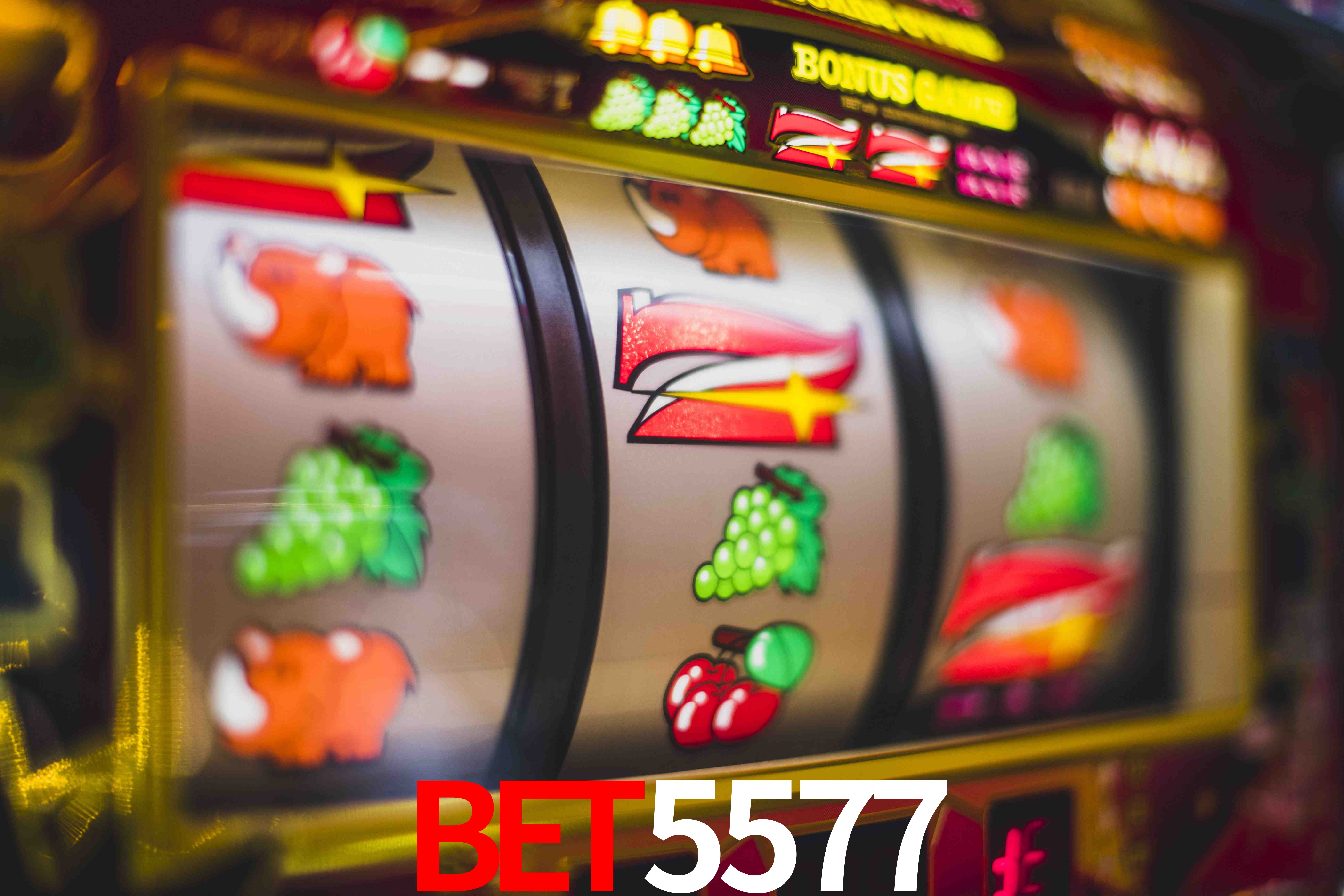 Statistics Bet5577